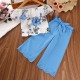 2 Pieces Kids Girls' Graphic Pants Suit Set Sleeveless Fashion Outdoor 3-7 Years Summer Pink Red Blue 2 Pieces Kids Girls' Graphic Pants Suit Set Sleeveless Fashion Outdoor 3-7 Years Summer Pink Red Blue