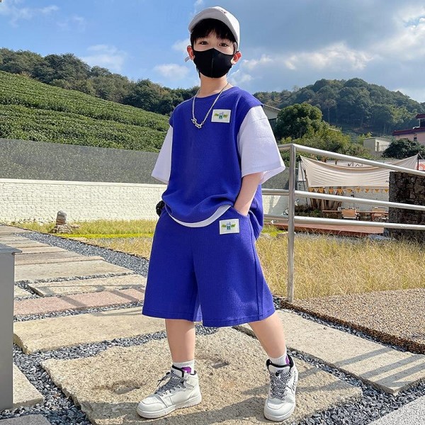 2 Pieces Kids Boys T-shirt & Shorts Outfit Solid Color Short Sleeve Set Outdoor Fashion Daily Summer Spring 3-7 Years Blue Orange Grey 2 Pieces Kids Boys T-shirt & Shorts Outfit Solid Color Short Sleeve Set Outdoor Fashion Daily Summer Spring 3-7 Years Blue Orange Grey