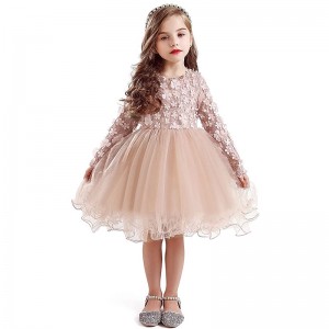 Kids Girls&#039; Embroidered Flowers Dress Mesh Tulle Dress Casual Floral Blushing Pink Above Knee Long Sleeve Elegant Lace Princess Dresses Fall Spring 2-8 Years / Summer / Cute