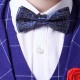 3 Pieces Kids Boys Blazer Vest Pants Party Set Formal Long Sleeve Blue Gray Red Plaid Bow Cotton Clothes Set Gentle Regular Suit 3 Pieces Kids Boys Blazer Vest Pants Party Set Formal Long Sleeve Blue Gray Red Plaid Bow Cotton Clothes Set Gentle Regular Suit
