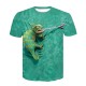 Kids Boys T shirt Short Sleeve 3D Print Animal Green Black Blue Children Tops Spring Summer Active Fashion Daily Daily Indoor Outdoor Regular Fit 3-12 Years / Sports Kids Boys T shirt Short Sleeve 3D Print Animal Green Black Blue Children Tops Spring Summer Active Fashion Daily Daily Indoor Outdoor Regular Fit 3-12 Years / Sports