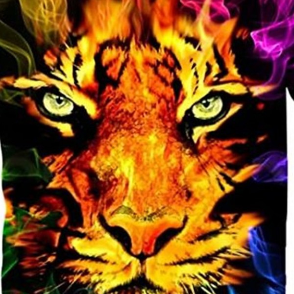 Kids Boys T shirt Short Sleeve 3D Print Tiger Animal Crewneck Rainbow Children Tops Spring Summer Active Fashion Daily Daily Outdoor Regular Fit 3-12 Years Kids Boys T shirt Short Sleeve 3D Print Tiger Animal Crewneck Rainbow Children Tops Spring Summer Active Fashion Daily Daily Outdoor Regular Fit 3-12 Years