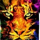 Kids Boys T shirt Short Sleeve 3D Print Tiger Animal Crewneck Rainbow Children Tops Spring Summer Active Fashion Daily Daily Outdoor Regular Fit 3-12 Years Kids Boys T shirt Short Sleeve 3D Print Tiger Animal Crewneck Rainbow Children Tops Spring Summer Active Fashion Daily Daily Outdoor Regular Fit 3-12 Years