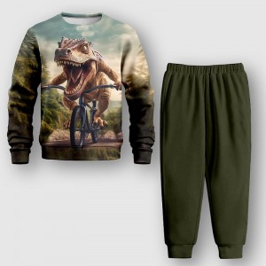 Boys 3D Animal Dinosaur Sweatshirt &amp; Pants Long Sleeve 3D Printing Fall Winter Active Fashion Cool Polyester Kids 3-12 Years Outdoor Street Vacation Regular Fit