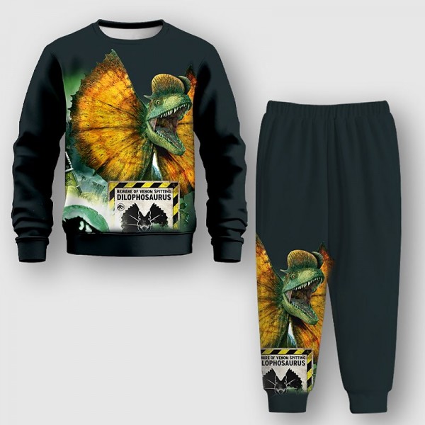 Boys 3D Animal Dinosaur Sweatshirt & Pants Long Sleeve 3D Printing Fall Winter Active Fashion Cool Polyester Kids 3-12 Years Outdoor Street Vacation Regular Fit Boys 3D Animal Dinosaur Sweatshirt & Pants Long Sleeve 3D Printing Fall Winter Active Fashion Cool Polyester Kids 3-12 Years Outdoor Street Vacation Regular Fit