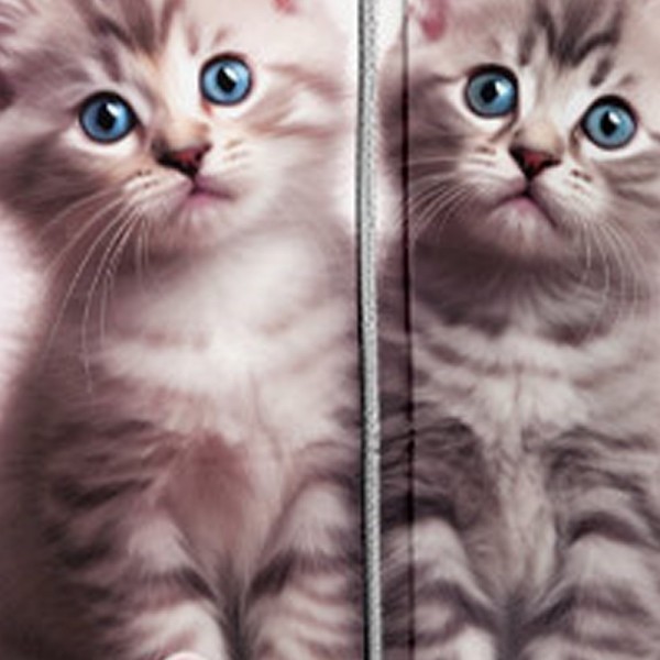 Girls' 3D Cat Hoodie Coat Outerwear Long Sleeve 3D Print Fall Winter Active Fashion Cute Polyester Kids 3-12 Years Outdoor Casual Daily Regular Fit Girls' 3D Cat Hoodie Coat Outerwear Long Sleeve 3D Print Fall Winter Active Fashion Cute Polyester Kids 3-12 Years Outdoor Casual Daily Regular Fit