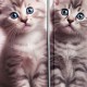 Girls' 3D Cat Hoodie Coat Outerwear Long Sleeve 3D Print Fall Winter Active Fashion Cute Polyester Kids 3-12 Years Outdoor Casual Daily Regular Fit Girls' 3D Cat Hoodie Coat Outerwear Long Sleeve 3D Print Fall Winter Active Fashion Cute Polyester Kids 3-12 Years Outdoor Casual Daily Regular Fit