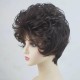 Ladies Wig, Short Fluffy Curly Hair, Natural Heat-Resistant Synthetic Wig, Suitable for Parties, Parties and Daily Use Ladies Wig, Short Fluffy Curly Hair, Natural Heat-Resistant Synthetic Wig, Suitable for Parties, Parties and Daily Use