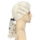 Colonial Wig Powdered Wig Men Blonde Wig Historical Halloween Costume Wig 18Th Century Peruke Wig Colonial Wig Powdered Wig Men Blonde Wig Historical Halloween Costume Wig 18Th Century Peruke Wig