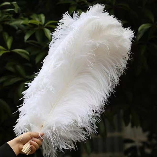 45-50cm Colorful Large Feather Ostrich Hair Table Flower Wedding Decoration Ostrich Feather 45-50cm Colorful Large Feather Ostrich Hair Table Flower Wedding Decoration Ostrich Feather