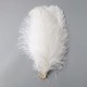 45-50cm Colorful Large Feather Ostrich Hair Table Flower Wedding Decoration Ostrich Feather 45-50cm Colorful Large Feather Ostrich Hair Table Flower Wedding Decoration Ostrich Feather