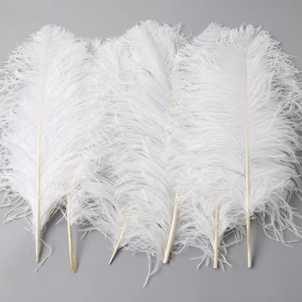 45-50cm Colorful Large Feather Ostrich Hair Table Flower Wedding Decoration Ostrich Feather 45-50cm Colorful Large Feather Ostrich Hair Table Flower Wedding Decoration Ostrich Feather