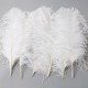 45-50cm Colorful Large Feather Ostrich Hair Table Flower Wedding Decoration Ostrich Feather 45-50cm Colorful Large Feather Ostrich Hair Table Flower Wedding Decoration Ostrich Feather