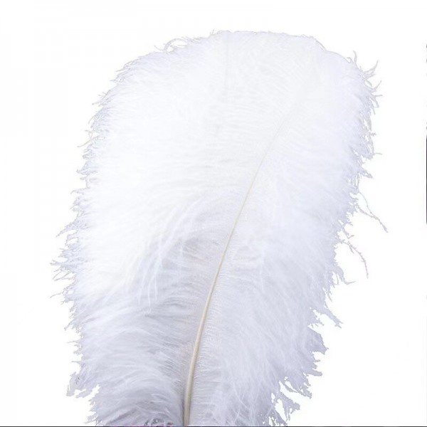 45-50cm Colorful Large Feather Ostrich Hair Table Flower Wedding Decoration Ostrich Feather 45-50cm Colorful Large Feather Ostrich Hair Table Flower Wedding Decoration Ostrich Feather