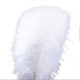 45-50cm Colorful Large Feather Ostrich Hair Table Flower Wedding Decoration Ostrich Feather 45-50cm Colorful Large Feather Ostrich Hair Table Flower Wedding Decoration Ostrich Feather