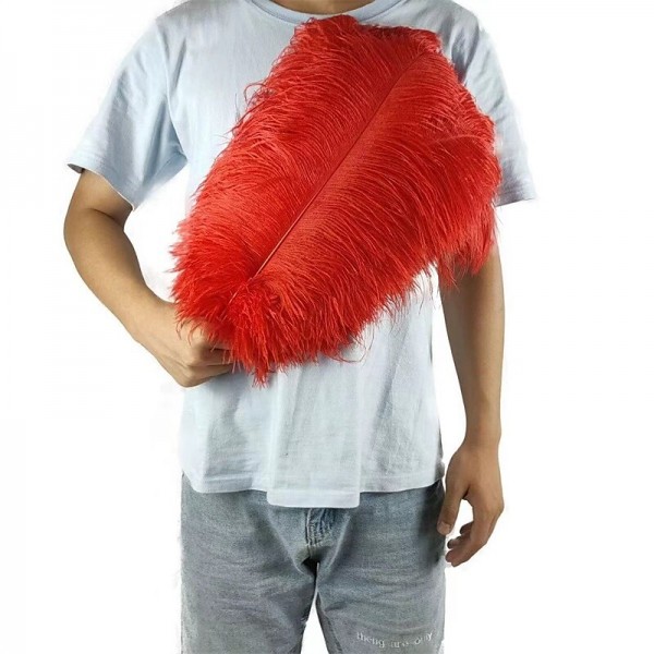 45-50cm Colorful Large Feather Ostrich Hair Table Flower Wedding Decoration Ostrich Feather 45-50cm Colorful Large Feather Ostrich Hair Table Flower Wedding Decoration Ostrich Feather