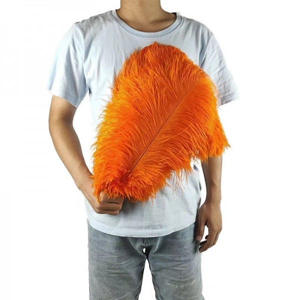 45-50cm Colorful Large Feather Ostrich Hair Table Flower Wedding Decoration Ostrich Feather 45-50cm Colorful Large Feather Ostrich Hair Table Flower Wedding Decoration Ostrich Feather