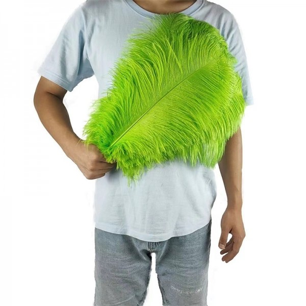 45-50cm Colorful Large Feather Ostrich Hair Table Flower Wedding Decoration Ostrich Feather 45-50cm Colorful Large Feather Ostrich Hair Table Flower Wedding Decoration Ostrich Feather