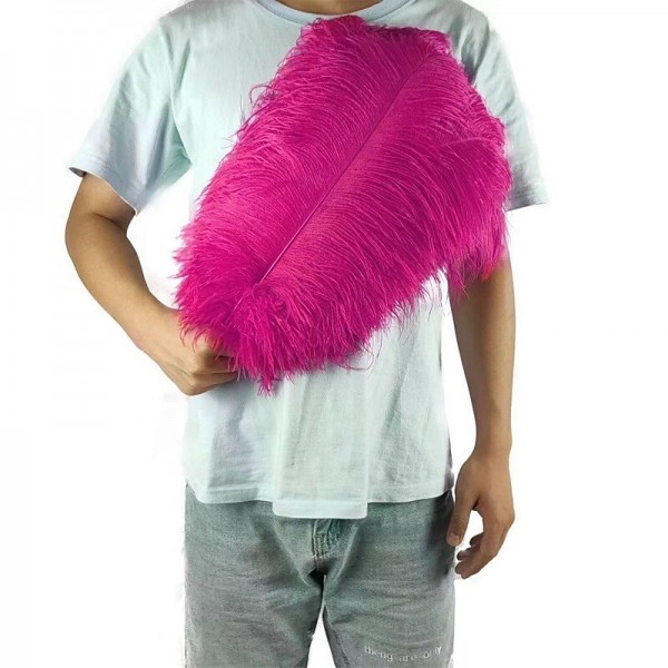 45-50cm Colorful Large Feather Ostrich Hair Table Flower Wedding Decoration Ostrich Feather 45-50cm Colorful Large Feather Ostrich Hair Table Flower Wedding Decoration Ostrich Feather