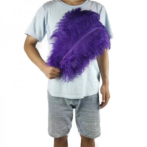 45-50cm Colorful Large Feather Ostrich Hair Table Flower Wedding Decoration Ostrich Feather 45-50cm Colorful Large Feather Ostrich Hair Table Flower Wedding Decoration Ostrich Feather