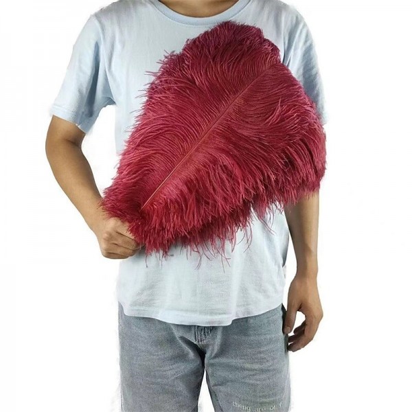 45-50cm Colorful Large Feather Ostrich Hair Table Flower Wedding Decoration Ostrich Feather 45-50cm Colorful Large Feather Ostrich Hair Table Flower Wedding Decoration Ostrich Feather
