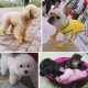 Mesh Dog Shoes Pet Boots, Breathable Dog Shoes for Small Doggy, Waterproof Pet Sandals with Anti-Slip Sole and Zipper Closure, Durable Pet Paw Protector for Hot Pavement Mesh Dog Shoes Pet Boots, Breathable Dog Shoes for Small Doggy, Waterproof Pet Sandals with Anti-Slip Sole and Zipper Closure, Durable Pet Paw Protector for Hot Pavement