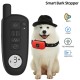 Dog Training With 2 Collar Pet Dog Shock With Remote 1000ft Range Electric Collars for Pet Waterproof Dog Training Collar for Small Medium Large Dogs Dog Training With 2 Collar Pet Dog Shock With Remote 1000ft Range Electric Collars for Pet Waterproof Dog Training Collar for Small Medium Large Dogs