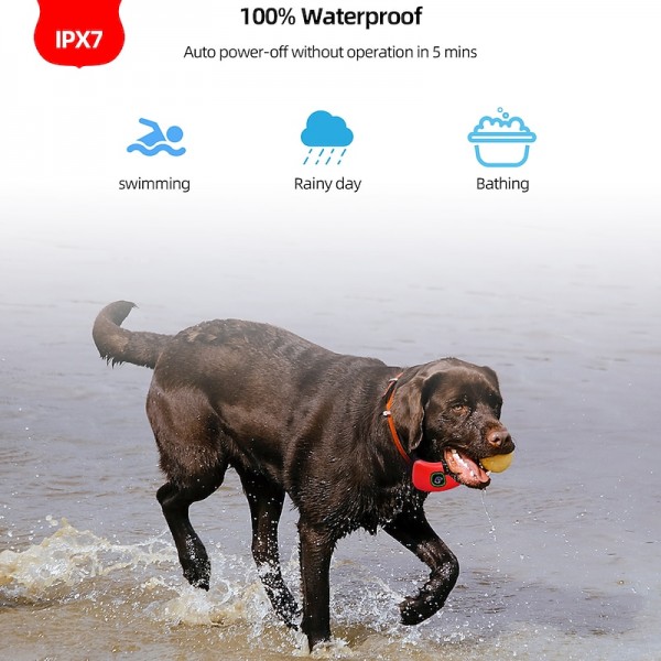 Dog Training With 2 Collar Pet Dog Shock With Remote 1000ft Range Electric Collars for Pet Waterproof Dog Training Collar for Small Medium Large Dogs Dog Training With 2 Collar Pet Dog Shock With Remote 1000ft Range Electric Collars for Pet Waterproof Dog Training Collar for Small Medium Large Dogs
