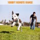 Dog Training With 2 Collar Pet Dog Shock With Remote 1000ft Range Electric Collars for Pet Waterproof Dog Training Collar for Small Medium Large Dogs Dog Training With 2 Collar Pet Dog Shock With Remote 1000ft Range Electric Collars for Pet Waterproof Dog Training Collar for Small Medium Large Dogs