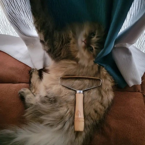 Dog &amp; Cat Hair Removal Brush: Say Goodbye to Pet Hair with 1pc Remover