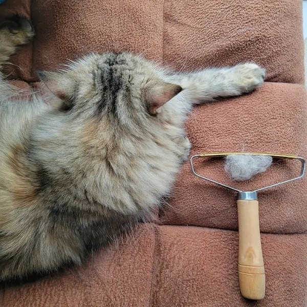 Dog &amp; Cat Hair Removal Brush: Say Goodbye to Pet Hair with 1pc Remover