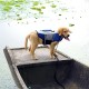 Dog Life Jacket Swimming Vest Lightweight High Reflective Pet Lifesaver with Lift Handle, Leash Ring Dog Life Jacket Swimming Vest Lightweight High Reflective Pet Lifesaver with Lift Handle, Leash Ring
