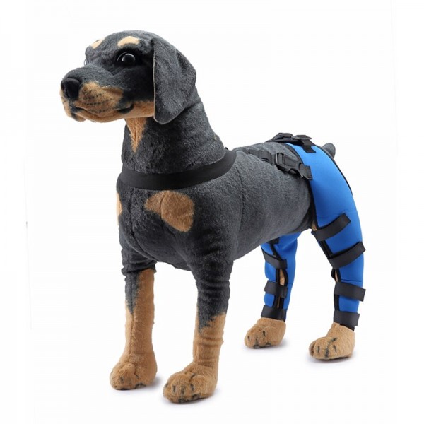 Harnesses Camouflage Knee Brace for Dogs, Treat ACL, CCL Injury, Arthritis, Joint Pain, Fatigue and Stress with The Walkabout Knee Brace (Medium Right) Harnesses Camouflage Knee Brace for Dogs, Treat ACL, CCL Injury, Arthritis, Joint Pain, Fatigue and Stress with The Walkabout Knee Brace (Medium Right)