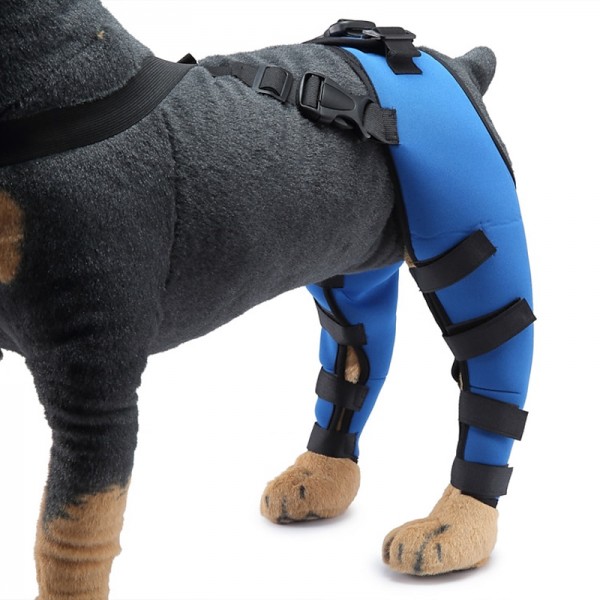 Harnesses Camouflage Knee Brace for Dogs, Treat ACL, CCL Injury, Arthritis, Joint Pain, Fatigue and Stress with The Walkabout Knee Brace (Medium Right) Harnesses Camouflage Knee Brace for Dogs, Treat ACL, CCL Injury, Arthritis, Joint Pain, Fatigue and Stress with The Walkabout Knee Brace (Medium Right)