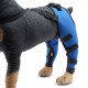 Harnesses Camouflage Knee Brace for Dogs, Treat ACL, CCL Injury, Arthritis, Joint Pain, Fatigue and Stress with The Walkabout Knee Brace (Medium Right) Harnesses Camouflage Knee Brace for Dogs, Treat ACL, CCL Injury, Arthritis, Joint Pain, Fatigue and Stress with The Walkabout Knee Brace (Medium Right)