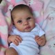 20inch Reborn Baby Doll Already Painted Reborn Baby Doll Miley Same As Picture Lifelike Soft Touch 3D Skin Painted Hair Visible Veins 20inch Reborn Baby Doll Already Painted Reborn Baby Doll Miley Same As Picture Lifelike Soft Touch 3D Skin Painted Hair Visible Veins
