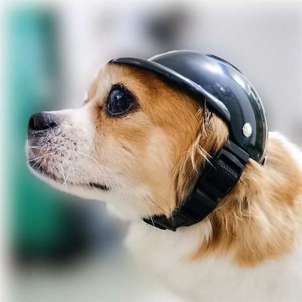 Pet Helmet Small-Medium Motorcycle Dog Helmet Cat Hat for Bike Riding Doggie Cap Pet Helmet Small-Medium Motorcycle Dog Helmet Cat Hat for Bike Riding Doggie Cap