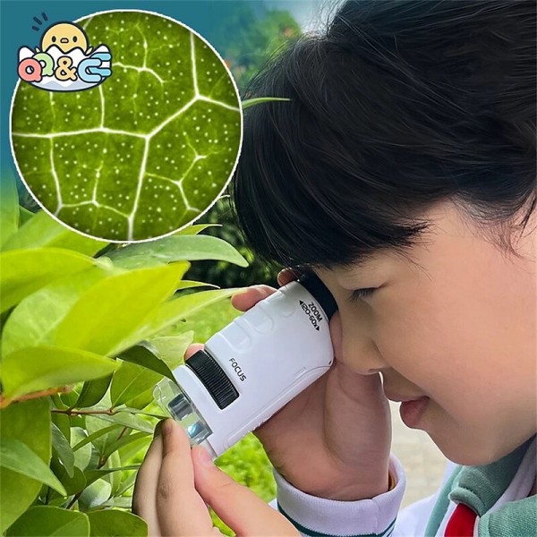 Handheld Microscope Kit Lab LED Light 60X-120X Home School Biological Science Educational Toys For Children Brinquedo STEM Gift Handheld Microscope Kit Lab LED Light 60X-120X Home School Biological Science Educational Toys For Children Brinquedo STEM Gift