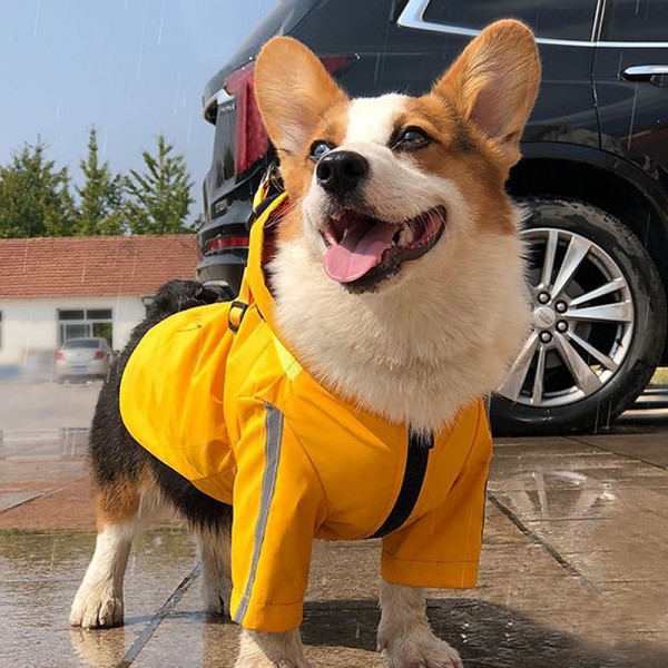 Hot-selling Dog Raincoat Integrated with Chest and Back Teddy Corky Pu Pet Raincoat Reflective Dog Coat Poncho Hot-selling Dog Raincoat Integrated with Chest and Back Teddy Corky Pu Pet Raincoat Reflective Dog Coat Poncho
