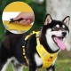 Pet Chest Strap Explosion Proof Big Dog Chest Back Reflective Commuting Dog Traction Rope Dog Rope Pet Chest Strap Explosion Proof Big Dog Chest Back Reflective Commuting Dog Traction Rope Dog Rope