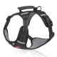 Pet Chest Strap Explosion Proof Big Dog Chest Back Reflective Commuting Dog Traction Rope Dog Rope Pet Chest Strap Explosion Proof Big Dog Chest Back Reflective Commuting Dog Traction Rope Dog Rope