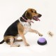 Pet Communication Button Dog Voice Box Training Speaking Toy Recording Speaker Squeeze Box Voice Pet Communication Button Dog Voice Box Training Speaking Toy Recording Speaker Squeeze Box Voice