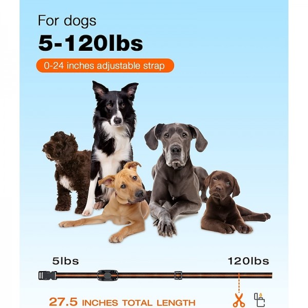 3300Ft Dog Training Collar with Remote for Small Medium Large Dogs Rechargeable Waterproof E Collar with Beep (1-8) Vibration(1-16) Safe Shock(1-99) 3300Ft Dog Training Collar with Remote for Small Medium Large Dogs Rechargeable Waterproof E Collar with Beep (1-8) Vibration(1-16) Safe Shock(1-99)