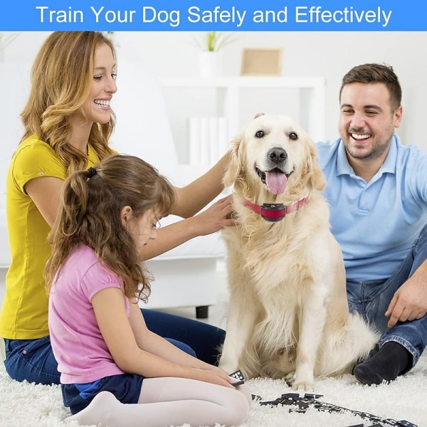 Paipaitek No Shock Dog Training Collar Rechargeable & Waterproof No Shock Dog Collar with Remote Up to 1600Ft Remote Range Suitable for deaf dogs used to attract their attention Paipaitek No Shock Dog Training Collar Rechargeable & Waterproof No Shock Dog Collar with Remote Up to 1600Ft Remote Range Suitable for deaf dogs used to attract their attention