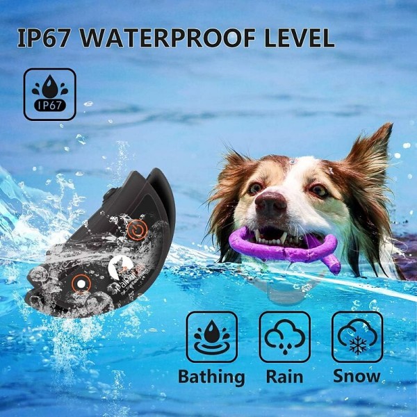 Paipaitek No Shock Dog Training Collar Rechargeable & Waterproof No Shock Dog Collar with Remote Up to 1600Ft Remote Range Suitable for deaf dogs used to attract their attention Paipaitek No Shock Dog Training Collar Rechargeable & Waterproof No Shock Dog Collar with Remote Up to 1600Ft Remote Range Suitable for deaf dogs used to attract their attention