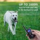 Paipaitek No Shock Dog Training Collar Rechargeable & Waterproof No Shock Dog Collar with Remote Up to 1600Ft Remote Range Suitable for deaf dogs used to attract their attention Paipaitek No Shock Dog Training Collar Rechargeable & Waterproof No Shock Dog Collar with Remote Up to 1600Ft Remote Range Suitable for deaf dogs used to attract their attention