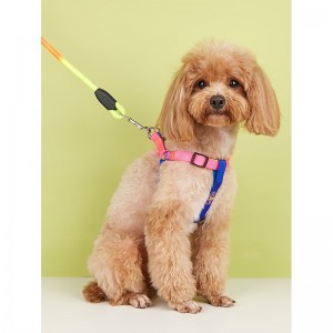 Dog Leash Training Leash Padded Vest Adjustable Flexible Anti Lost Escape Proof Safety Portable Safety Soft Sports Adjustable Outdoor Hiking Walking Nylon Golden Retriever Corgi Beagle Shiba Inu Pug