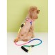 Dog Leash Training Leash Padded Vest Adjustable Flexible Anti Lost Escape Proof Safety Portable Safety Soft Sports Adjustable Outdoor Hiking Walking Nylon Golden Retriever Corgi Beagle Shiba Inu Pug Dog Leash Training Leash Padded Vest Adjustable Flexible Anti Lost Escape Proof Safety Portable Safety Soft Sports Adjustable Outdoor Hiking Walking Nylon Golden Retriever Corgi Beagle Shiba Inu Pug