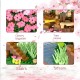2028PCS Pink Sakura Tree House Building Blocks - Cherry Blossom DIYToys for Kids - Perfect Gift ldea! (Not Sets) 2028PCS Pink Sakura Tree House Building Blocks - Cherry Blossom DIYToys for Kids - Perfect Gift ldea! (Not Sets)