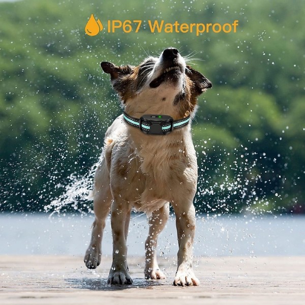 3300Ft Remote No Shock Pet Dog Training Collar Rechargeable IPX7 Waterproof E Collar Beep Vibration Human Dog Trainer 3300Ft Remote No Shock Pet Dog Training Collar Rechargeable IPX7 Waterproof E Collar Beep Vibration Human Dog Trainer